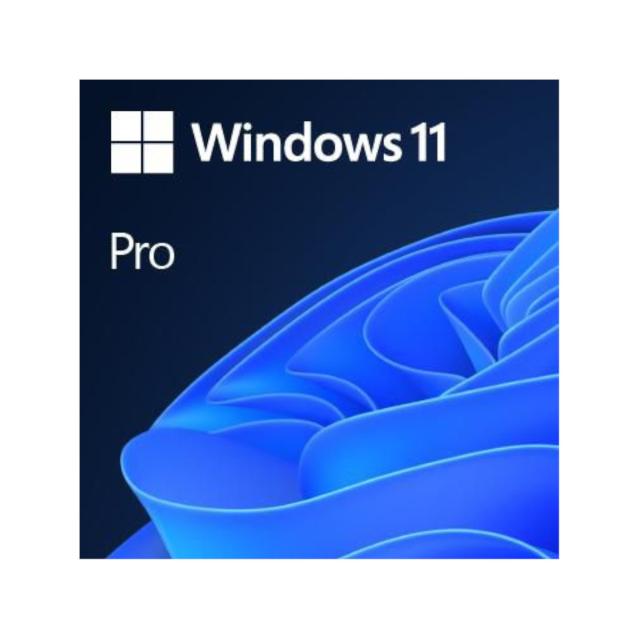 Microsoft license Windows 11 Pro in both DVD and OEM